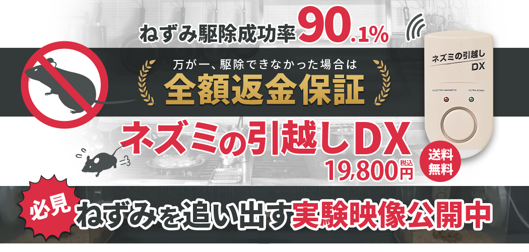 ネズミが嫌いなもの 食べ物 匂い 天敵 でネズミ駆除