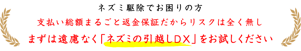 支払い総額まるごと返金保証