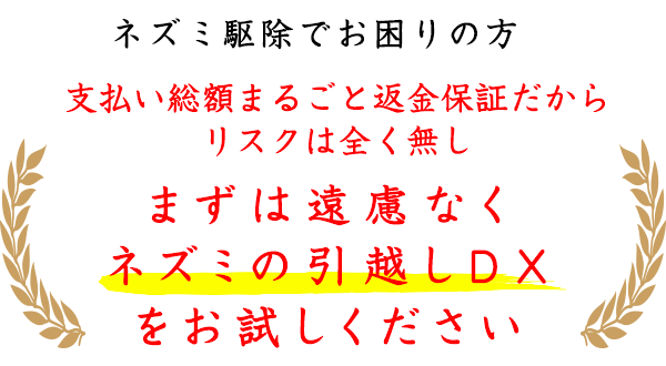 支払い総額まるごと返金保証