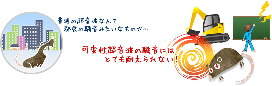 ねずみ駆除なら可変性超音波