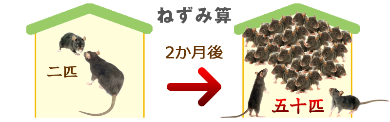 他の超音波ねずみ駆除器とココが違う