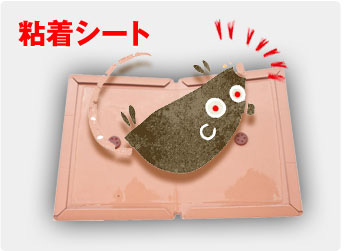 粘着シートの場合ねずみが1匹だけで、家の中の通り道が判っている場合には効果的な施策だと言えます。