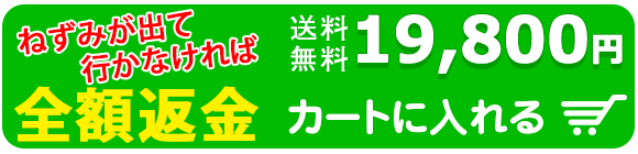 ネズミの引越しDX