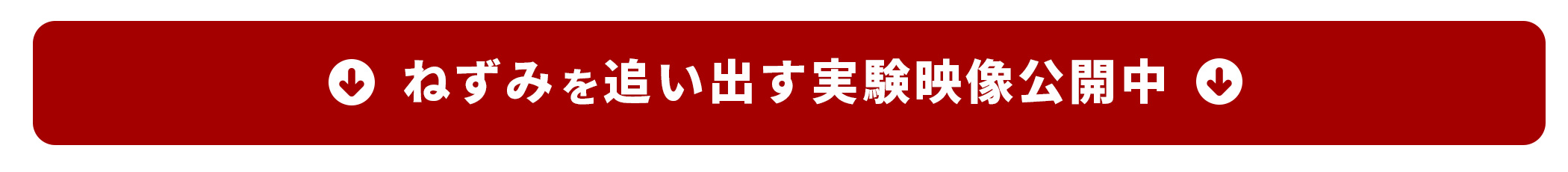 ネズミの引越しDX