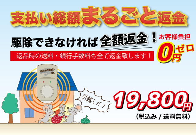 ネズミの引越しDX