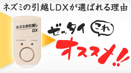 ねずみ駆除 ネズミの引越しDX